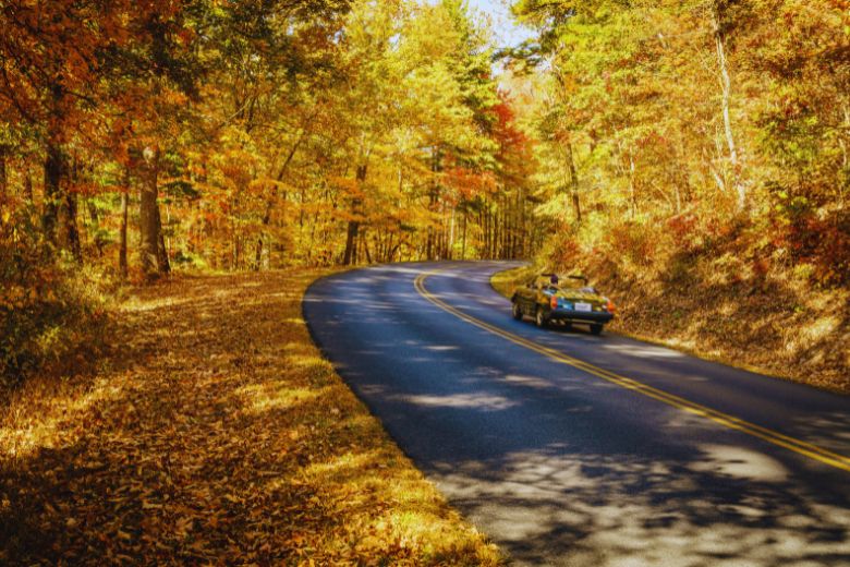 Scenic Drives in the Smoky Mountains
